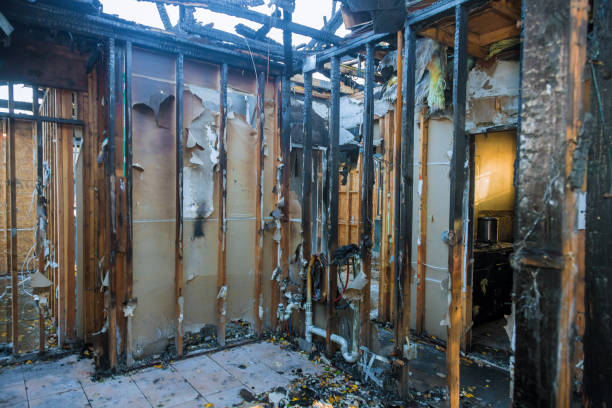 Professional Fire Damage Removal technician working in Lutherville Timonium, MD